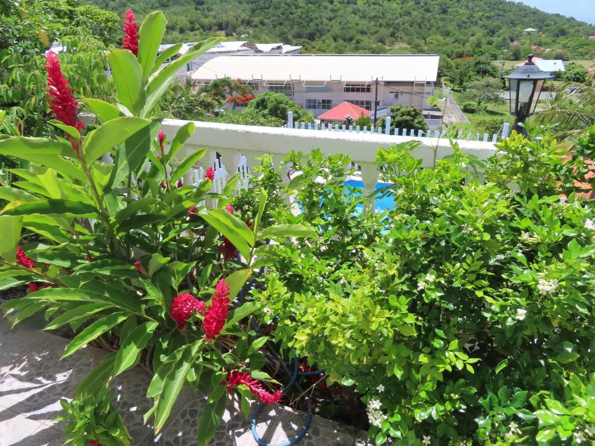 Terre De Bas :L'Ile Merveilleuse ภายนอก รูปภาพ